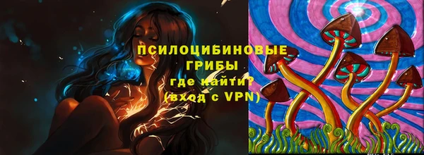 ПСИЛОЦИБИНОВЫЕ ГРИБЫ Армянск