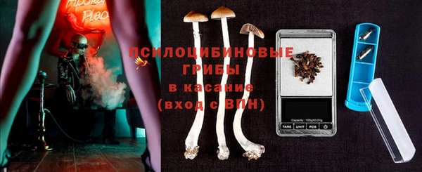 каннабис Аркадак